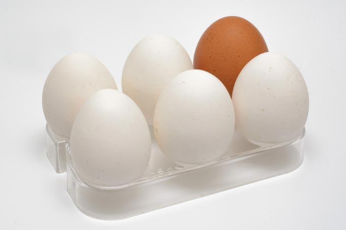 weiße Eier und ein braunes Ei